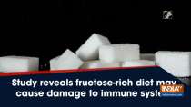 Study reveals fructose-rich diet may cause damage to immune system