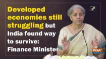 Developed economies still struggling but India found way to survive: Finance Minister