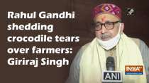 Rahul Gandhi shedding crocodile tears over farmers: Giriraj Singh