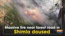 Massive fire near forest road in Shimla doused