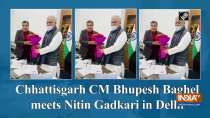 Chhattisgarh CM Bhupesh Baghel meets Nitin Gadkari in Delhi
