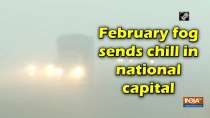 February fog sends chill in national capital