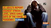 US adults report highest stress level since early days of the COVID-19 pandemic: Survey