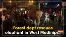 Forest dept rescues elephant in West Medinipur
