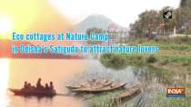 Eco cottages at Nature Camp in Odisha