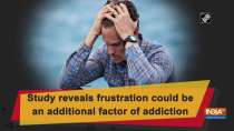 Study reveals frustration could be an additional factor of addiction