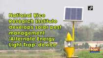 National Rice Research Institute develops solar pest management 
