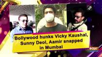 Bollywood hunks Vicky Kaushal, Sunny Deol, Aamir snapped in Mumbai