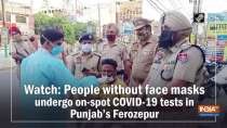Watch: People without face masks undergo on-spot COVID-19 tests in Punjab