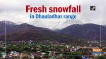 Fresh snowfall in Dhauladhar range