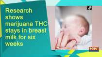 Research shows marijuana THC stays in breast milk for six weeks