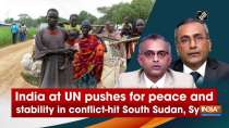 India at UN pushes for peace and stability in conflict-hit South Sudan, Syria