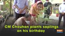 CM Chouhan plants saplings on his birthday