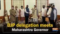 BJP delegation meets Maharashtra Governor