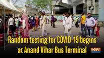 Random testing for COVID-19 begins at Anand Vihar Bus Terminal