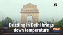 Drizzling in Delhi brings down temperature