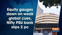 Equity gauges down on weak global cues, Nifty PSU bank slips 2 pc