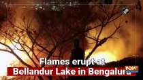 Flames erupt at Bellandur Lake in Bengalur