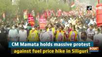 CM Mamata holds massive protest against fuel price hike in Siliguri