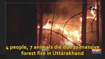 4 people, 7 animals die due to massive forest fire in Uttarakhand