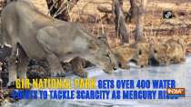 Gir National Park gets over 400 water points to tackle scarcity as mercury rises