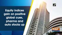 Equity indices gain on positive global cues, pharma and auto stocks up