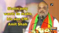 Stalin only wants to make his son CM: Amit Shah