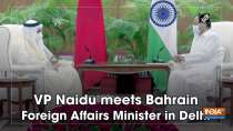 VP Naidu meets Bahrain Foreign Affairs Minister in Delhi