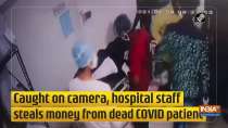 Caught on camera, hospital staff steals money from dead COVID patient