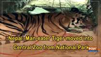 Nepal: Man-eater Tiger moved into Central Zoo from National Park