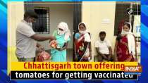 Chhattisgarh town offering tomatoes for getting vaccinated