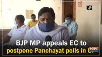 BJP MP appeals EC to postpone Panchayat polls in UP