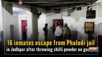 16 inmates escape from Phalodi jail in Jodhpur after throwing chilli powder on guards