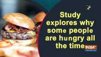 Study explores why some people are hungry all the time