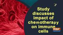 Study discusses impact of chemotherapy on immune cells