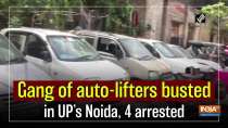 Gang of auto-lifters busted in UP