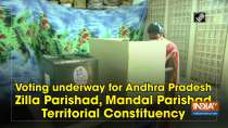 Voting underway for Andhra Pradesh Zilla Parishad, Mandal Parishad Territorial Constituency