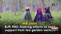 WB polls: BJP, TMC making efforts to seek support from tea garden workers
