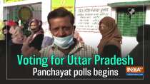 Voting for Uttar Pradesh Panchayat polls begins