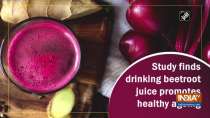 Study finds drinking beetroot juice promotes healthy ageing