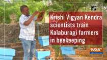 Krishi Vigyan Kendra scientists train Kalaburagi farmers in beekeeping