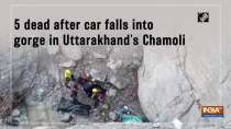 5 dead after car falls into gorge in Uttarakhand