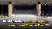 Delhi Pollution: Toxic foam floats on surface of Yamuna River