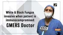 White and Black Fungus invasive when patient is immunocompromised: GMERS Doctor