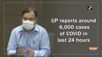 UP reports around 6,000 cases of COVID in last 24 hours