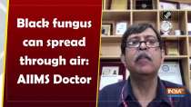 Black fungus can spread through air: AIIMS Doctor