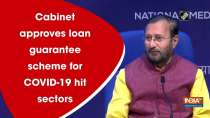 Cabinet approves loan guarantee scheme for COVID-19 hit sectors 
