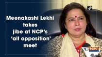 Meenakashi Lekhi takes jibe at NCP