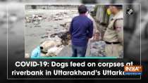 COVID-19: Dogs feed on corpses at riverbank in Uttarakhand