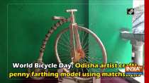 World Bicycle Day: Odisha artist crafts penny farthing model using matchsticks